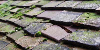 Rowberrow roof repair costs